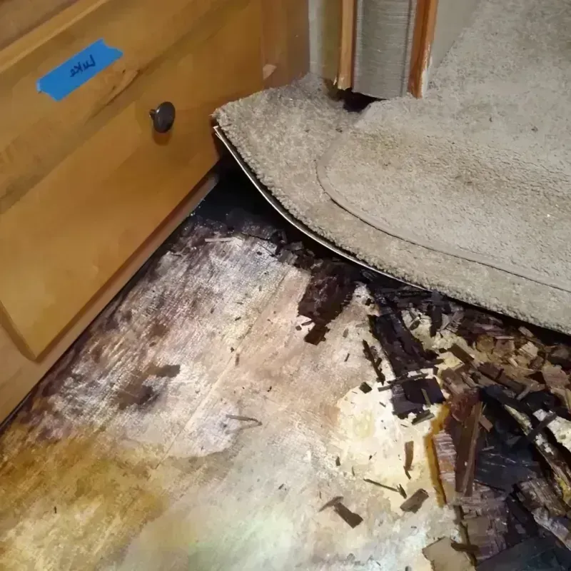 Wood Floor Water Damage in Marshfield, WI